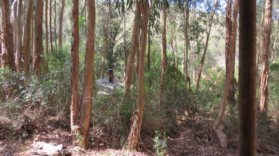 Commercial Property for Sale in Robertson Rural Western Cape